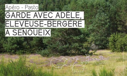Garde avec Adèle, éleveuse-bergère à Senoueix